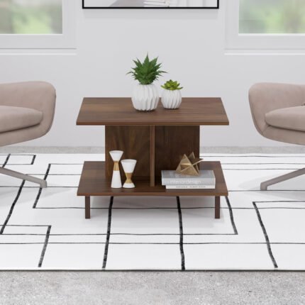 Coffee Table 07